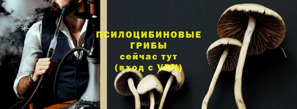 мдпв Покачи