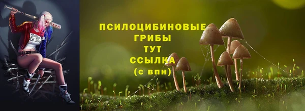 мдпв Покачи