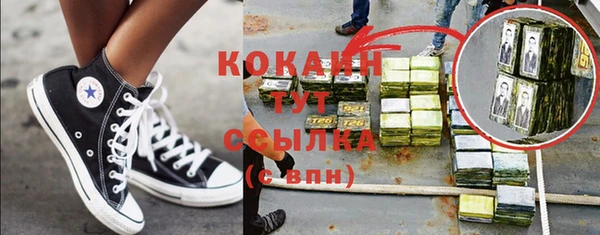 прущие грибы Пролетарск