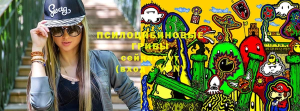 стаф Покров